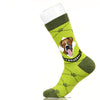 Boxer | Argyle Pups