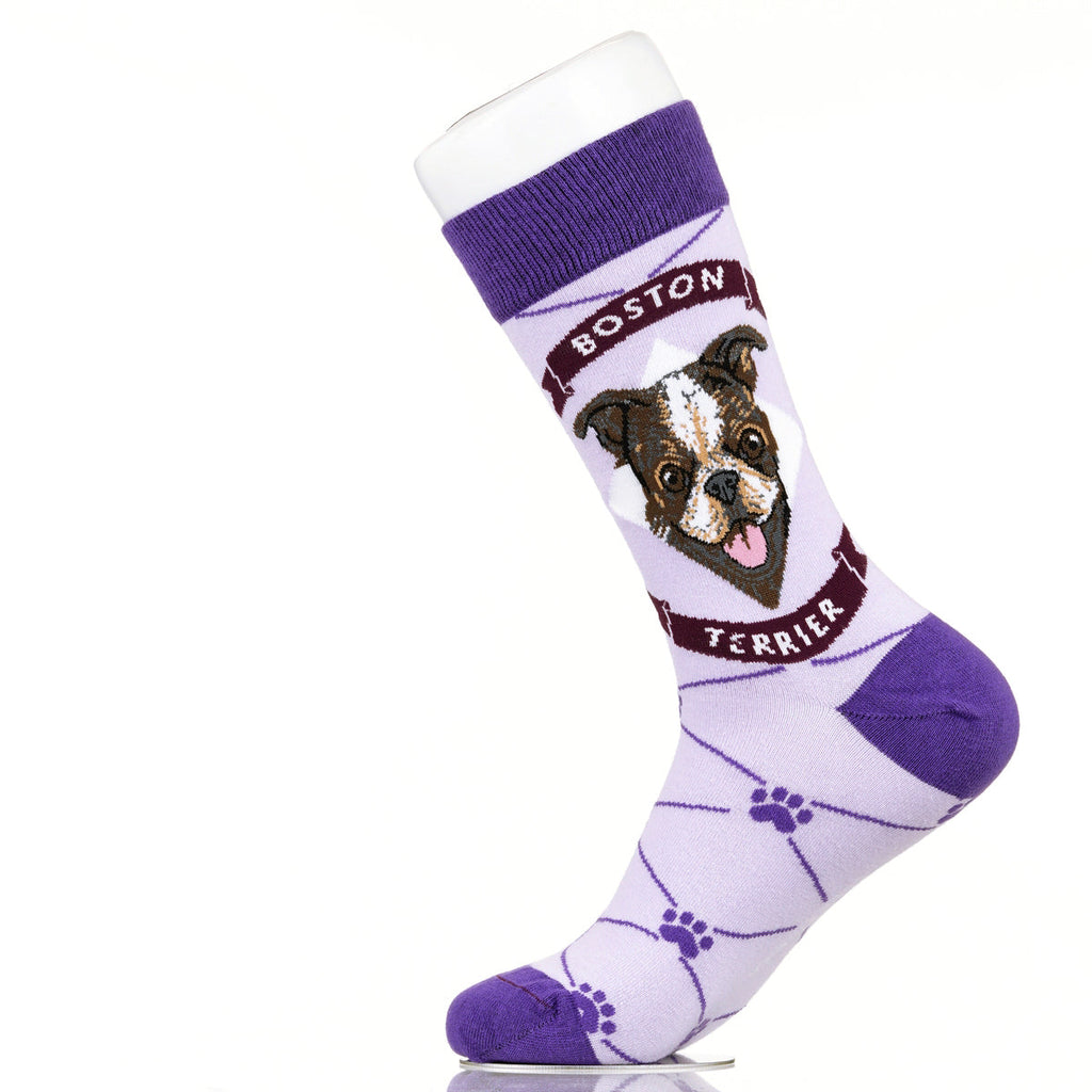 Boston Terrier | Argyle Pups